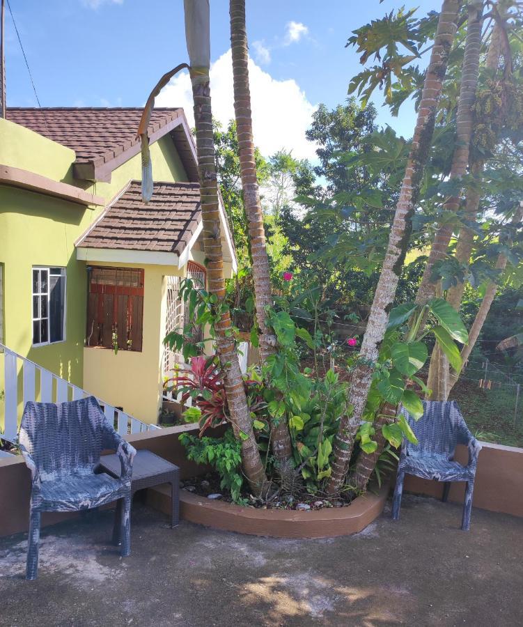 Gables Vacation Rentals With Private Gated Parking Onsite Knockpatrick Exterior photo